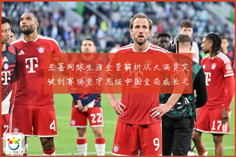 王蔷网球生涯全景解析从大满贯突破到赛场坚守见证中国金花成长之路-深度解析