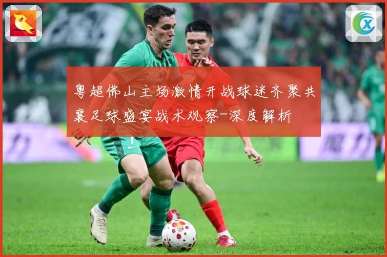 粤超佛山主场激情开战球迷齐聚共襄足球盛宴战术观察-深度解析