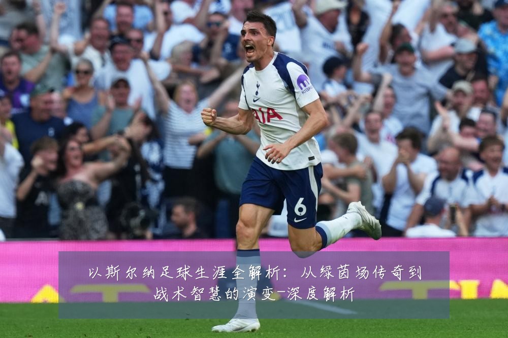 以斯尔纳足球生涯全解析:从绿茵场传奇到战术智慧的演变-深度解析